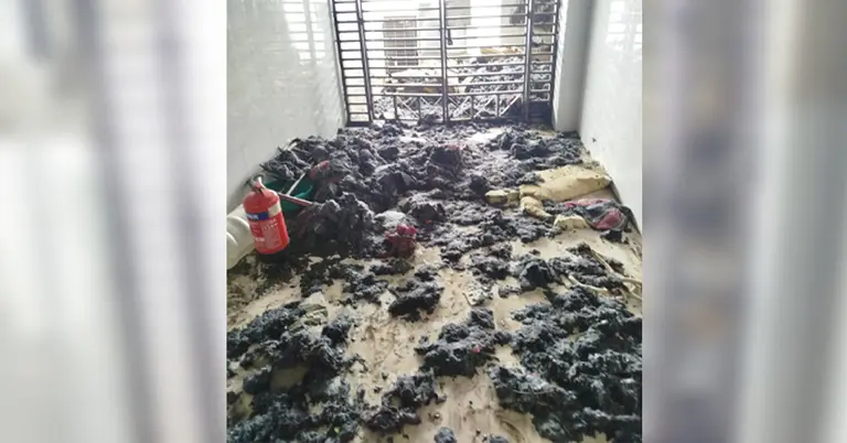 পুড়ে যাওয়া বেডের ফোম